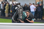 Race 6 4.46pm Download The Raceday Ready App Handicap portfolio