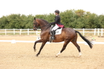 SBM_006442