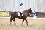SBM_007323