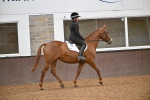 SBM_003010