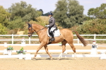 SBM_015077