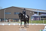 Cls 34 FEI Freestyle Music Junior portfolio