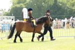 SBM_05184
