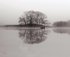 Esthwaite Fishing Mistbw
