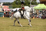 SBM_14791