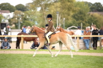 SBM_42352