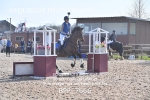CLASS 0 Clear Round Show Jumping portfolio