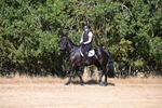 WJ6_6736