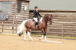 SBM_001913