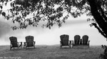 Waiting for Guests