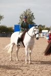 Class 214 Ridden Cob portfolio
