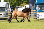 SBM_01611