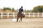 SBM_001388