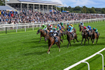 210826-Race 4-Bacio-0244