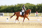 SBM_008144