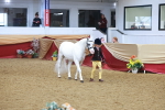 SBM_10727