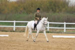 SBM_007807