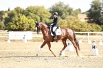 SBM_008847