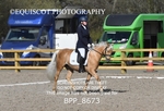 BPP_8673