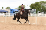 SBM_15624