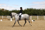 SBM_004593