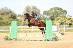 SBM_005394