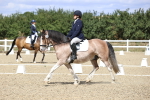SBM_014558