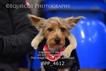 BPP_4612