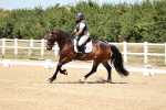 SBM_001631