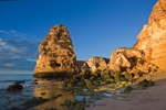 Rocks of Gold