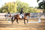 SBM_18366