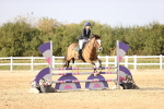 SBM_03914