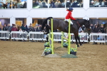 SBM_003578