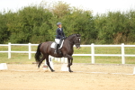 SBM_017741