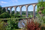 The Viaduct at Calstock