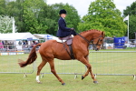 SBM_02943