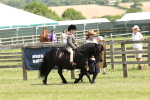 SBM_05209