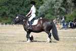 WJ7_9597
