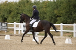 SBM_015581