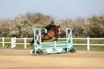 SBM_000496