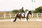 SBM_005565