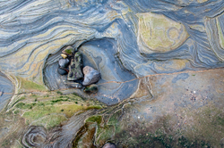 Vermiculations portfolio