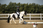 SBM_004167