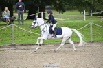 NSEA Showjumping Sunday 5th - Click to Enter portfolio