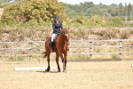 SBM_003589