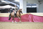 SBM_08961