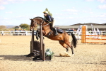 SBM_003233