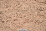 230511A-103026-00250