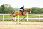 SBM_009091