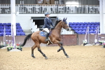 SBM_003703